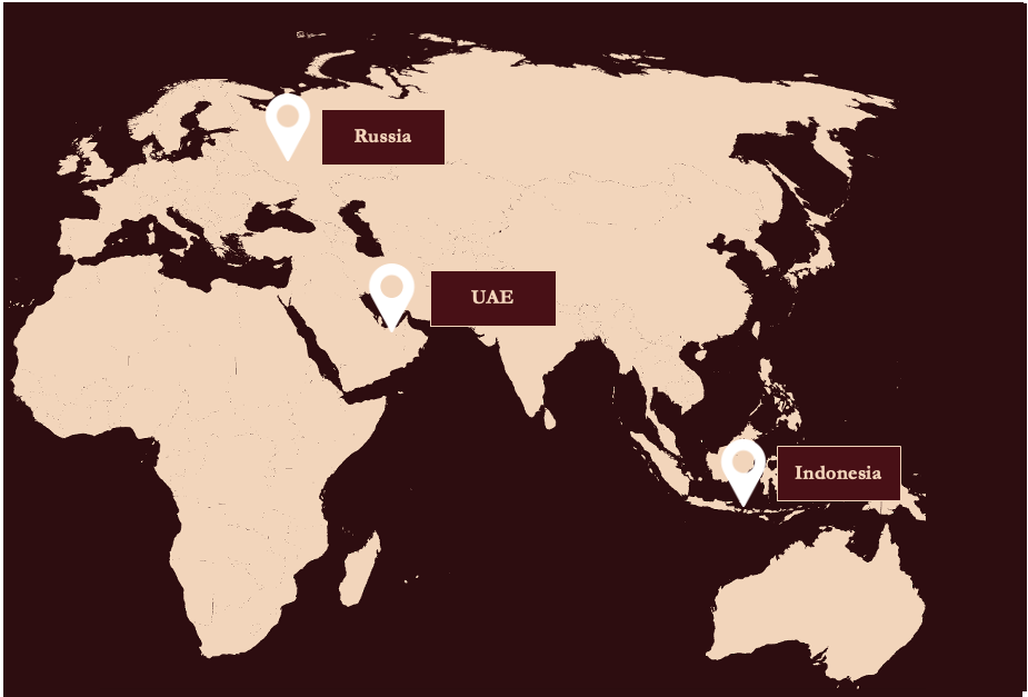 World Map
